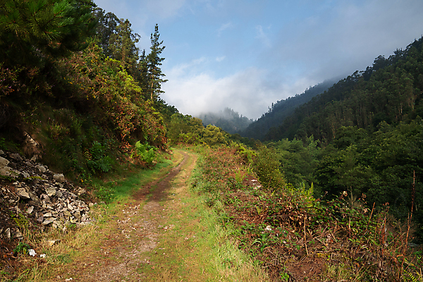 포토 JPG 해외이미지 구름 유럽 길 여행 자국 자연 하늘 휴가 산 파노라마 풍경 사람없음 야외 여름 관광지 환경 트래킹 하이킹 시골 스페인 오솔길 생태계 내추럴 방법 해외202004 해외포토 자연요소 계절 나라 레저 촬영기법 파일형식 이미지허브