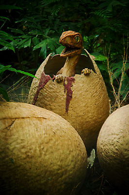 포토 JPG 해외이미지 나무 동물 척추동물 1 공원 아시아 야생동물 과학 포유류 파충류 자연 동물원 양서류 사람없음 초록색 반려동물 추위 용 위험 열대우림 피부 공룡 눈금 생물학 도마뱀 인도네시아 육식동물 이구아나 고생물 선사시대 내추럴 몬스터 생태학 쥬라기 해외202004 해외포토 식물 공공시설 교육 나라 컬러 컨셉 생물 신체부위 역사 숲 생태계 파일형식 이미지허브