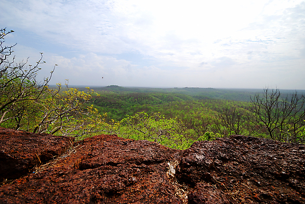 포토 JPG 해외이미지 나무 구름 공원 여행 백그라운드 자연 하늘 산 파노라마 풍경 사람없음 야외 초록색 여름 파란색 빛 햇빛 태양 우주 환경 정원 계곡 맑음 활발 황무지 숲 언덕 지역 마법 흐림 내추럴 지질학 해외202004 해외포토 자연요소 식물 계절 공공시설 교육 컬러 컨셉 날씨 촬영기법 생태계 파일형식 이미지허브