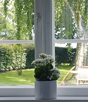 포토 JPG 해외이미지 나무 라이프스타일 디자인 계절 꽃 화분 꽃다발 잎 창문 유리 날씨 주택 프레임 실내 사람없음 내부 목재 장식 초록색 꽃병 봄 흰색 신선 뜨거움 그리너리 안락 해외202004 해외포토 식물 컬러 컨셉 재료 재질 건물 생활 파일형식 트랜드컬러 이미지허브