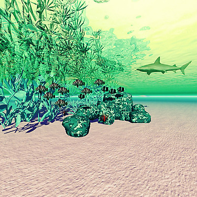 포토 JPG 해외이미지 동물 백그라운드 컨셉 모션 유리 어류 사람없음 물 파란색 수중 수영 봄 자유 탐험 도전 자신감 액체 산호 닫기 떨어짐 탈출 사냥 상어 암초 고립 무료 스플래쉬 해외202004 해외포토 자연요소 계절 감정 컬러 재질 수중동물 수상스포츠 자포동물 파일형식 이미지허브