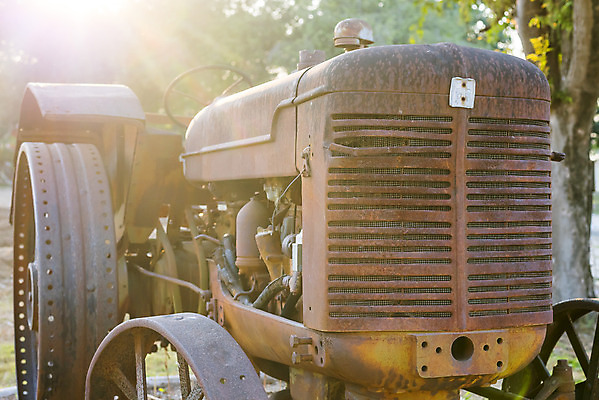 포토 JPG 해외이미지 나무 밭 농업 교통시설 자연 사람없음 빨간색 초록색 농장 금속 기계 장비 수확 골동품 시골 업무 바퀴 그릴 부식 복고 트랙터 원시시대 밭일 옛날 쟁기 해외202004 해외포토 식물 산업 컬러 교통 재질 주방용품 작업 역사 농기계 시설 생태계 특수차량 파일형식 이미지허브