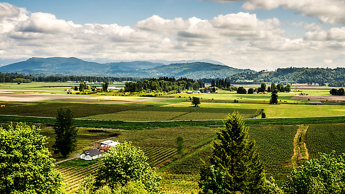 포토 JPG 해외이미지 나무 밭 농업 자연 지붕 풍경 사람없음 야외 초록색 여름 파란색 농작물 농장 농경지 환경 계곡 시골 땅 언덕 통조림 외양간 크랜베리 해외202004 해외포토 식물 계절 열매 산업 컬러 생태계 파일형식 이미지허브