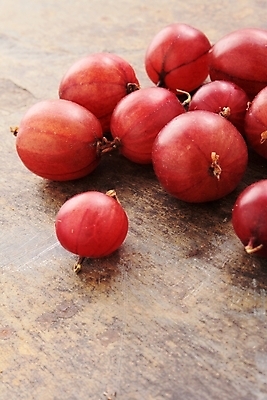 포토 JPG 해외이미지 영어 계절 열매 음식 과일 영국 사람없음 빨간색 초록색 건강식 구스베리 억울 해외202004 해외포토 식물 문자 감정 유럽 컬러 파일형식 이미지허브