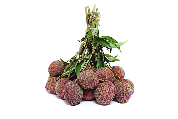 포토 JPG 해외이미지 잎 실내 사람없음 다발 열대과일 흰배경 리치 해외202004 해외포토 식물 백그라운드 과일 내부 흰색 파일형식 이미지허브