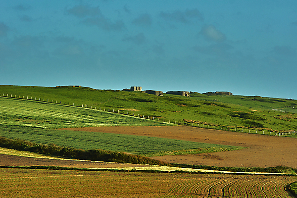 포토 JPG 해외이미지 나무 식물 구름 유럽 밭 농업 하늘 풍경 사람없음 마을 봄 프랑스 언덕 군용 천연기념물 노르망디 콘크리트 수평선 해외202004 해외포토 자연요소 계절 나라 산업 군대 파일형식 이미지허브