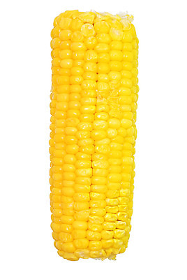 포토 JPG 해외이미지 클리핑패스 음식 농업 채소 자연 건강 옥수수 사람없음 노란색 수확 달콤 낟알 흰배경 알맹이 귀 고립 해외202004 해외포토 산업 컬러 백그라운드 곡류 신체부위 흰색 맛 생태계 파일형식 이미지허브
