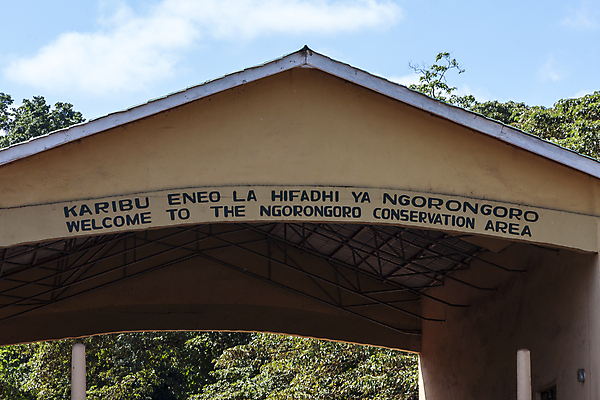 포토 JPG 해외이미지 나무 공원 도로 여행 아프리카 자연 출입구 국립공원 안전 풍경 사람없음 야외 울타리 경계선 오픈 황무지 장애물 입장 사인 보안 대문 케냐 그만 남아프리카 방법 사바나 제어 탄자니아 수수료 해외202004 해외포토 식물 공공시설 나라 길 선 교통시설 담장 문 경계 생태계 요금 파일형식 이미지허브