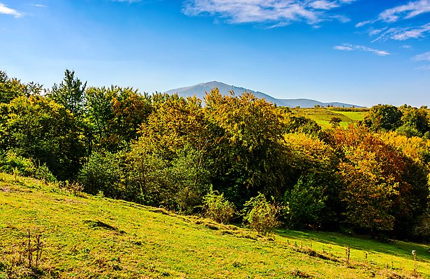 포토 JPG 해외이미지 나무 식물 구름 여행 백그라운드 밭 자연 하늘 산 풍경 경사 사람없음 야외 초록색 컬러풀 환경 계곡 가을 시골 신선 정상 숲 언덕 산등성이 내추럴 해외202004 해외포토 자연요소 계절 컬러 농업 생태계 파일형식 이미지허브