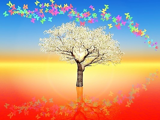 포토 JPG 해외이미지 나무 꽃 나비 자연 풍경 사람없음 빨간색 컬러풀 일출 일몰 봄 활발 벚꽃 해외202004 해외포토 식물 계절 컬러 곤충 컨셉 노을 생태계 파일형식 이미지허브