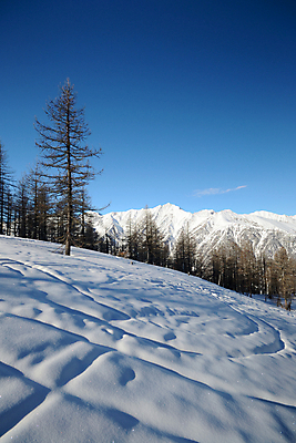 포토 JPG 해외이미지 계절 스포츠 겨울 자연 휴식 산 파노라마 풍경 사람없음 야외 계곡 냉동 얼음 침묵 이탈리아 추위 탐험 흰색 황무지 고독 순수 산등성이 빙하 서리 산봉우리 산기슭 무한 웅장함 제설기 평야 산맥 해외202004 해외포토 자연요소 감정 유럽 컬러 컨셉 촬영기법 소리 생태계 봉우리 제설 파일형식 이미지허브