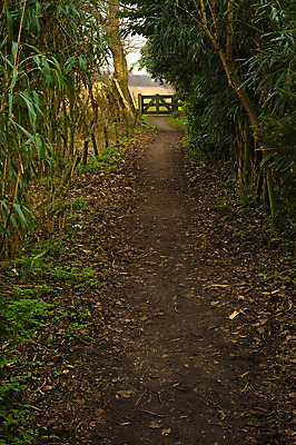 포토 JPG 해외이미지 나무 식물 길 모래 밭 사람없음 울타리 갈색 시골 낟알 대문 진흙 수평선 해외202004 해외포토 컬러 농업 담장 문 파일형식 이미지허브