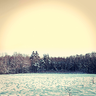 포토 JPG 해외이미지 나무 계절 여행 백그라운드 크리스마스 겨울 자연 하늘 날씨 휴가 풍경 사람없음 야외 목재 파란색 태양 평화 우주 환경 냉동 얼음 침묵 일몰 추위 금지 수확 흰색 축하 눈송이 숲 12월 그림 서리 장면 전나무 1월 2월 소셜네트워크 눈내림 해외202004 해외포토 자연요소 식물 기념일 컬러 컨셉 농업 재료 눈_날씨 노을 소리 날짜 생태계 파일형식 이미지허브