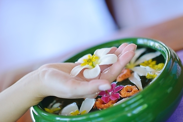 포토 JPG 해외이미지 손 꽃 들기 신체부위 물 스파 대야 해외포토 자연요소 식물 모션 사람 파일형식 이미지허브