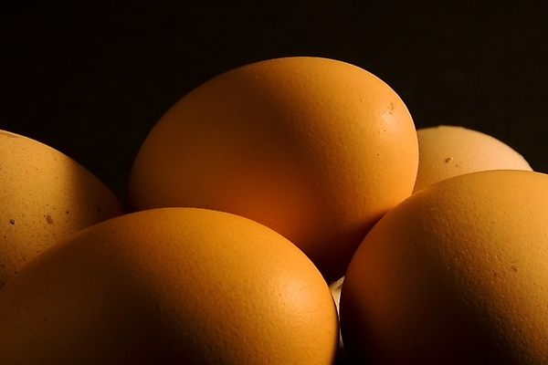 포토 JPG 해외이미지 동물 음식 백그라운드 재료 자연 건강 요리 사람없음 농장 갈색 노란색 계란 치킨 껍질 흰색 신선 원형 그룹 닫기 아침식사 상품 자르기 먹기 묘사 싱글 유기농 날것 노른자 내추럴 고립 단백질 삶기 생식 해외202004 해외포토 도형 웰빙 컬러 농업 모션 알 식사 생태계 닭고기요리 영양소 파일형식 이미지허브