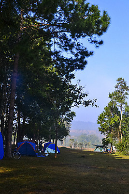 포토 JPG 해외이미지 나무 식물 공원 야생동물 여행 잎 밭 아프리카 태국 자연 하늘 산 건조 따뜻함 파노라마 국립공원 풍경 사람없음 야외 빨간색 초록색 파란색 빛 태양 노란색 환경 맑음 일몰 봄 새벽 캠핑 나뭇가지 뜨거움 황무지 황금 고독 보호 사파리 언덕 북쪽 멀리 남쪽 내추럴 산악지대 아카시아 광 남아프리카 사바나 생태학 세렝게티 전국 탄자니아 평야 해외202004 해외포토 자연요소 동물 계절 공공시설 교육 감정 나라 아시아 컬러 컨셉 농업 레저 날씨 촬영기법 노을 방향 생태계 파일형식 이미지허브