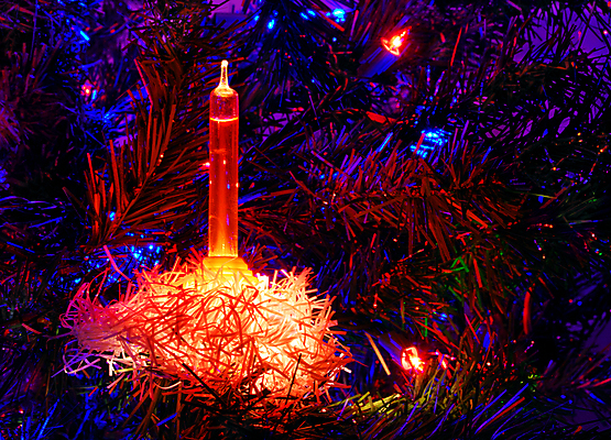 포토 JPG 해외이미지 나무 전통 디자인 계절 크리스마스 겨울 휴가 전등 사람없음 장식 빨간색 빛 노란색 축제 나뭇가지 축하 화려 황금 12월 빛망울 노엘 해외202004 해외포토 식물 기념일 컬러 컨셉 조명 날짜 파일형식 이미지허브