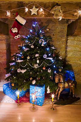 포토 JPG 해외이미지 나무 전통 계절 별 백그라운드 크리스마스 겨울 공 휴가 전등 요정 사람없음 장식 빨간색 초록색 빛 축제 화환 장식볼 축하 소나무 12월 해외202004 해외포토 자연요소 식물 기념일 꽃 컬러 컨셉 조명 날짜 파일형식 이미지허브