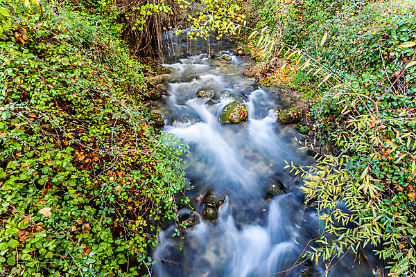 포토 JPG 해외이미지 나무 식물 길 여행 잎 자연 풍경 사람없음 초록색 물 강 환경 계곡 침묵 활발 흐름 가을 바위 나뭇가지 신선 개울 스페인 숲 강가 시원함 암초 해외202004 해외포토 자연요소 계절 유럽 컬러 컨셉 소리 돌_바위 생태계 파일형식 이미지허브