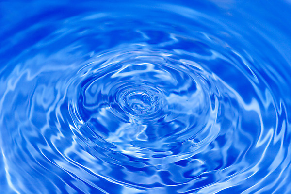 포토 JPG 해외이미지 식물 잎 자연 건강 사람없음 물 약재 물방울 약초 이슬 약국 허브 내추럴 돌봄 해외202004 해외포토 자연요소 의학 모션 약 풀_식물 생태계 파일형식 이미지허브