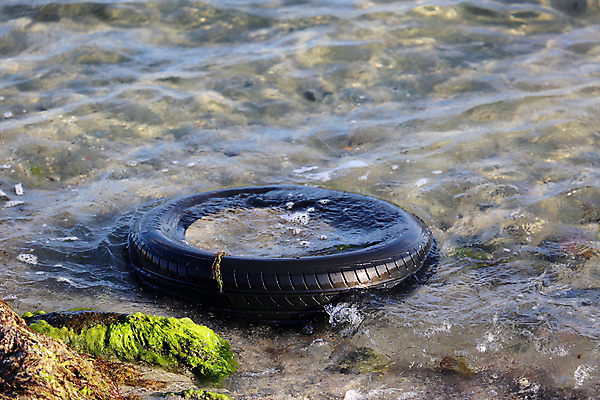 포토 JPG 해외이미지 모래 파도 바다 여행 자동차 자연 사람없음 야외 초록색 물 파란색 환경 검은색 바닷속 수중 재활용 손상 탐험 원형 해조류 쓰레기 폐기물 버리기 타이어 서식지 고무 낭비 내추럴 생태학 옛날 자동 중고 해외202004 해외포토 자연요소 도형 교육 육상교통 컬러 컨셉 모션 해양식물 친환경 생태계 파일형식 이미지허브