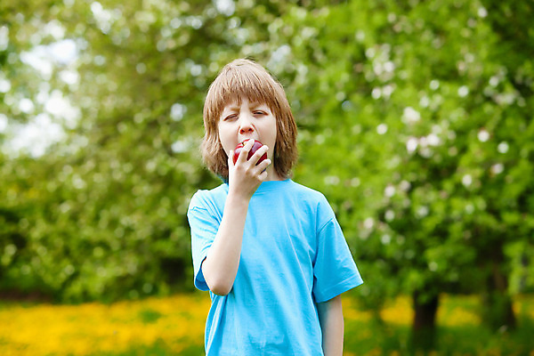 포토 JPG 해외이미지 나무 백인 어린이 음식 과일 자연 한명 소년 야외 빨간색 금발 노란색 정원 봄 잡기 사과 먹기 토막 해외202004 해외포토 서양인 식물 1 헤어스타일 계절 남자 컬러 모션 사람 생태계 파일형식 이미지허브
