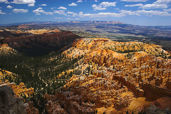 포토 JPG 해외이미지 나무 식물 공원 지구 모래 여행 오렌지 자연 하늘 휴가 산 풍경 사람없음 야외 빨간색 파란색 컬러풀 노란색 골짜기 계곡 사막 자유 소나무 탈출 오르기 먼지 사암 멀리 천연기념물 단절 지질학 콜로라도 특별함 해외202004 해외포토 공공시설 교육 컬러 컨셉 과일 모션 미국 돌_바위 생태계 파일형식 이미지허브