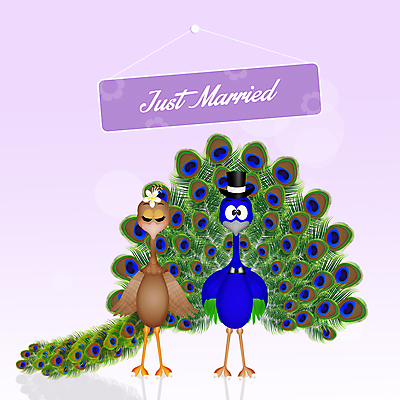 포토 JPG 해외이미지 동물 커플 여자 남자 결혼 일러스트 자연 조류 결혼식 사람없음 장식 초록색 파란색 컬러풀 축하 공작 만화 깃털 꼬리 해외202004 해외포토 컬러 컨셉 관계 사람 이벤트 생태계 파일형식 이미지허브