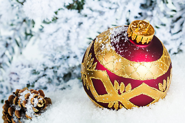 포토 JPG 해외이미지 나무 전통 계절 행복 어린이 백그라운드 크리스마스 겨울 공 유리 휴가 새해 기념 선물 사람없음 장식 장난감 산타클로스 와인 흰색 나뭇가지 축하 시간 소나무 샴페인 12월 연도 심볼 원뿔 제설기 해외202004 해외포토 도형 식물 기념일 감정 컬러 컨셉 재질 주류 사람 날짜 제설 파일형식 이미지허브