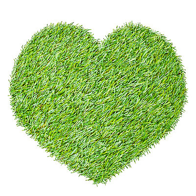 포토 JPG 해외이미지 모양 식물 디자인 계절 백그라운드 컨셉 패턴 밭 자연 추상 아이디어 사랑 미술 풍경 잔디 사람없음 장식 초록색 환경 에너지 성장 흰색 하트 신선 보호 땅 심볼 오브젝트 사인 질감 내추럴 고립 해외202004 해외포토 감정 컬러 무늬 농업 문화예술 생태계 파일형식 이미지허브