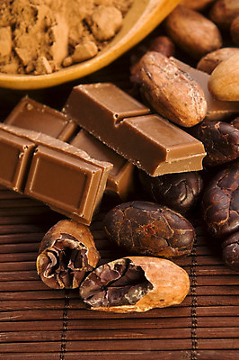 포토 JPG 해외이미지 실내 사람없음 초콜릿 나무숟가락 나무탁자 카카오 코코아가루 카카오닙스 해외202004 해외포토 탁자 디저트 내부 숟가락 견과류 가루 파일형식 이미지허브