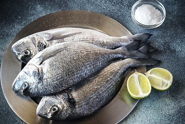 포토 JPG 해외이미지 접시 회색배경 사람없음 레몬 날것 도미 소금 라임 해외202004 해외포토 식기 백그라운드 과일 어류 회색 파일형식 이미지허브