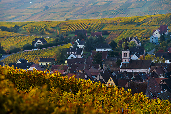 포토 JPG 해외이미지 전통 외관 유럽 문화 여행 잎 농업 자연 휴가 아파트 사람없음 건물 목재 장식 초록색 강 도시풍경 햇빛 마을 프랑스 골동품 시골 도시 중세 역사 운하 포도밭 장면 포도나무 지역 타운 종탑 프랑스어 해외202004 해외포토 나무 식물 문자 건축물 나라 산업 컬러 밭 재료 주택 풍경 태양 탑 과일나무 생태계 파일형식 이미지허브