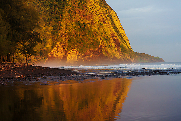 포토 JPG 해외이미지 나무 모래 파도 바다 섬 여행 모션 자연 날씨 휴가 휴식 손바닥 사람없음 야외 물 햇빛 태양 맑음 수영 미국 힘 액체 서핑 시원함 휴양지 하와이 주말 태평양 코코넛 석호 이국적 파라다이스 해외202004 해외포토 자연요소 식물 손 컨셉 북아메리카 과일 장소 수상스포츠 생태계 파일형식 이미지허브