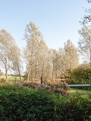 포토 JPG 해외이미지 나무 식물 구름 계절 공원 호수 여행 백그라운드 잎 밭 오렌지 자연 하늘 아침 산 풍경 사람없음 야외 목재 빨간색 초록색 물 여름 파란색 빛 컬러풀 햇빛 태양 노란색 일출 환경 일몰 봄 가을 시골 숲 언덕 내추럴 해외202004 해외포토 주간 자연요소 공공시설 컬러 농업 과일 재료 노을 생태계 파일형식 이미지허브