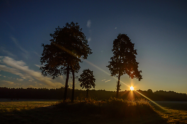 포토 JPG 해외이미지 나무 식물 구름 계절 공원 실루엣 여행 백그라운드 밭 오렌지 자연 하늘 휴가 따뜻함 그림자 풍경 사람없음 야외 빨간색 초록색 여름 파란색 빛 햇빛 태양 노란색 평화 일출 환경 침묵 황혼 일몰 새벽 황금 저녁 숲 장면 내추럴 수평선 해외202004 해외포토 자연요소 공공시설 컬러 컨셉 농업 과일 촬영기법 노을 소리 야간 생태계 파일형식 이미지허브