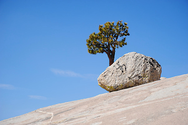 포토 JPG 해외이미지 나무 자연 산 국립공원 풍경 경사 사람없음 초록색 파란색 미국 회색 바위 소나무 황무지 숲 언덕 요세미티국립공원 절정 해외202004 해외포토 식물 공원 컬러 북아메리카 돌_바위 생태계 캘리포니아 파일형식 이미지허브