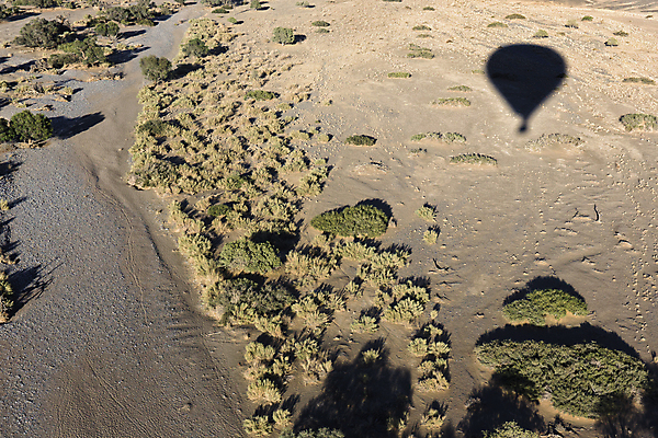 포토 JPG 해외이미지 공원 야생동물 여행 백그라운드 교통시설 아프리카 자연 하늘 아침 산 안테나 풍경 사람없음 야외 여름 컬러풀 바구니 여행객 환경 운전 사막 게임 뜨거움 황무지 분위기 승차 고도 언덕 오르기 지역 가뭄 풍선 멀리 남쪽 내추럴 나미비아 남아프리카 세렝게티 전국 탄자니아 해외202004 해외포토 주간 동물 계절 공공시설 나라 컬러 교통 컨셉 통신 모션 놀이 날씨 사람 방향 시설 생태계 파일형식 이미지허브