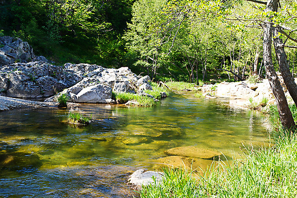 포토 JPG 해외이미지 나무 식물 공원 자연 산 풍경 사람없음 야외 목재 초록색 물 여름 강 반사 환경 계곡 맑음 침묵 봄 흐름 바위 연못 신선 개울 숲 장면 내추럴 생태학 해외202004 해외포토 자연요소 계절 공공시설 교육 컬러 컨셉 재료 날씨 소리 돌_바위 생태계 파일형식 이미지허브