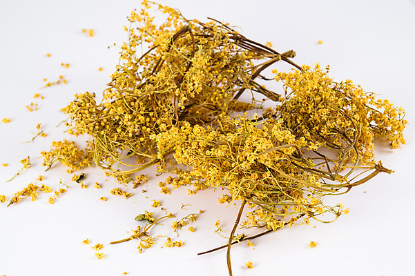 포토 JPG 해외이미지 식물 꽃잎 꽃 분홍색 백그라운드 꽃무늬 오렌지 자연 건조 건강 사람없음 야외 초록색 건강관리 정원 보라색 센터 닫기 정상 허브 묘사 유기농 원예 꽃가루 동쪽 고슴도치 보충 면역력 영원 치유 해외202004 해외포토 웰빙 컬러 무늬 과일 포유류 모션 관리 취미 가루 방향 생태계 파일형식 이미지허브