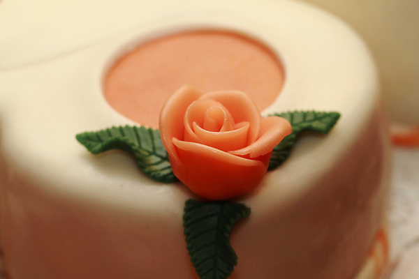 포토 JPG 해외이미지 접시 꽃 음식 오렌지 휴가 디저트 발렌타인데이 사탕 선물 사람없음 장식 초록색 장미 노란색 케이크 빵집 흰색 축하 대접 생일 닫기 달콤 맛 설탕 먹기 크림 묘사 페스츄리 해외202004 해외포토 식물 식기 기념일 빵 컬러 컨셉 과일 모션 데이이벤트 상점 파일형식 이미지허브