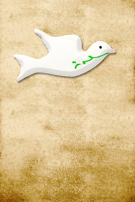 포토 JPG 해외이미지 모양 행복 기독교 종교 어린이 백그라운드 패턴 프레임 소년 사람없음 컬러풀 교회 우주 덮개 시골 축하 인사 신용카드 발표 앨범 수집 사인 비둘기 초대 신성 약혼 공유 성배 성찬식 양피지 카피스페이스 해외202004 해외포토 남자 감정 컬러 결혼 컨셉 무늬 종교건축 조류 사람 건물 금융 공백 뚜껑 예절 약속 파일형식 이미지허브