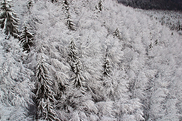 포토 JPG 해외이미지 스포츠 백그라운드 크리스마스 자연 하늘 스키 산 그림자 풍경 사람없음 파란색 빛 냉동 얼음 추위 소나무 숲 시원함 북극 서리 장면 지역 침엽수 전나무 가문비나무 해외202004 해외포토 자연요소 나무 기념일 컬러 겨울스포츠 극지방 생태계 파일형식 이미지허브