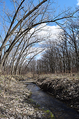 포토 JPG 해외이미지 구름 계절 아시아 호수 여행 백그라운드 밭 자연 하늘 날씨 풍경 사람없음 야외 초록색 물 여름 파란색 강 햇빛 반사 노란색 맑음 봄 흐름 가을 연못 신선 개울 황무지 작음 땅 몽골 언덕 장면 내추럴 생태학 스텝 해외202004 해외포토 자연요소 교육 나라 컬러 컨셉 농업 태양 크기 생태계 파일형식 이미지허브