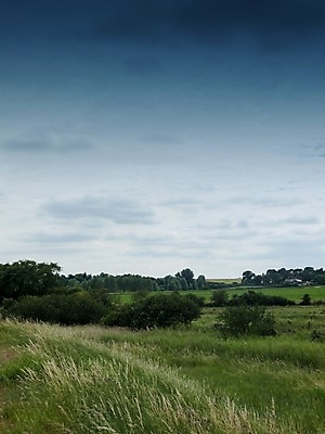 포토 JPG 해외이미지 나무 식물 구름 영어 길 백그라운드 밭 농업 자연 하늘 날씨 영국 잉글랜드 풍경 사람없음 야외 초록색 여름 파란색 농작물 농경지 환경 산책 하이킹 시골 숲 오솔길 요크셔테리어 밭일 삼림지대 수평선 해외202004 해외포토 자연요소 문자 계절 유럽 산업 컬러 레저 휴식 농장 테리어 생태계 파일형식 이미지허브