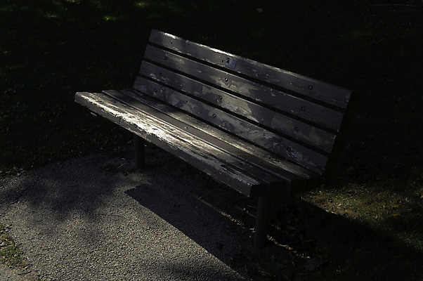 포토 JPG 해외이미지 나무 외관 공원 가구 벤치 의자 일러스트 자연 휴식 앉기 사람없음 야외 목재 초록색 노란색 평화 금속 정원 가을 도시 철 오브젝트 옛날 해외202004 해외포토 식물 계절 공공시설 컬러 생활용품 컨셉 재료 모션 재질 생태계 파일형식 이미지허브