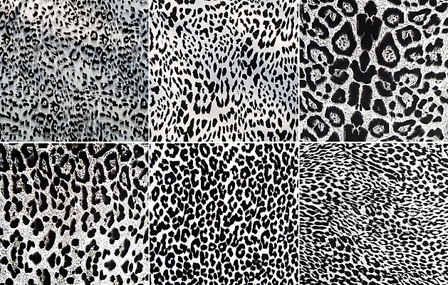 포토 JPG 해외이미지 동물 디자인 야생동물 선 백그라운드 패턴 일러스트 파충류 아프리카 자연 벽지 추상 털 동물원 저울 동양인 사람없음 세트 유행 검은색 고양이 줄무늬 흰색 직물 뱀 호랑이 인쇄 가죽 기린 사파리 피부 질감 육식동물 치타 표범 포장소품 해외202004 해외포토 나라 컬러 무늬 포장 포유류 인종 신체부위 반려동물 오브젝트 생태계 포장재료 파일형식 이미지허브