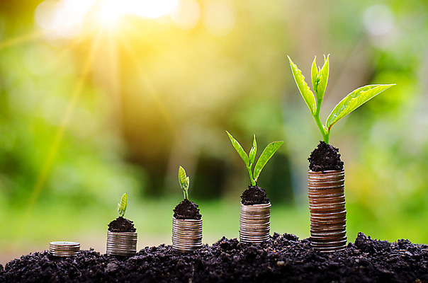 포토 JPG 해외이미지 나무 식물 백그라운드 컨셉 잎 돈 비즈니스 성공 사람없음 초록색 금융 경제 빛 쌓기 정원 동전 성장 절약 재산 황금 작음 수집 투자 보케 이익 대출 관심 수입 예산 자금 투자자 해외202004 해외포토 컬러 모션 크기 파일형식 이미지허브