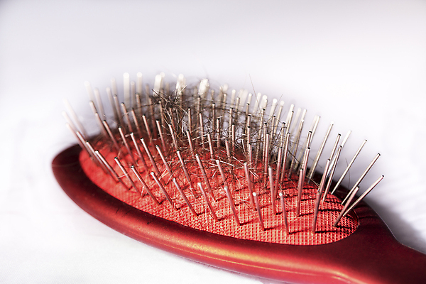 포토 JPG 해외이미지 근접촬영 사람없음 뷰티 머리카락 머리빗 흰배경 두피케어 탈모 탈모클리닉 해외202004 탈모예방 해외포토 뷰포인트 백그라운드 머리 흰색 미용용품 예방 클리닉 헤어관리 증상 파일형식 이미지허브