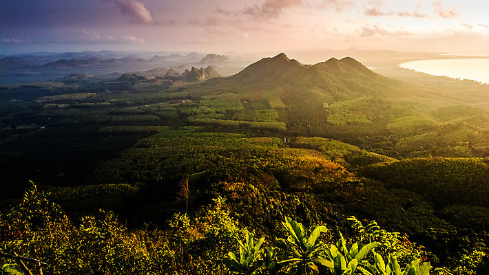 포토 JPG 해외이미지 나무 식물 구름 꽃 아시아 바다 태국 하늘 산 따뜻함 풍경 사람없음 여름 일출 일몰 안개 언덕 해외202004 해외포토 자연요소 계절 나라 날씨 노을 파일형식 이미지허브